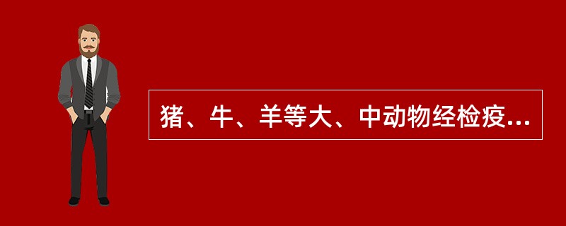 猪、牛、羊等大、中动物经检疫合格后出具《产地检疫合格证明》要（）.