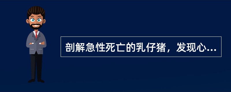 剖解急性死亡的乳仔猪，发现心肌切面有灰白色或淡黄色斑点或条纹，可初步判断为感染：