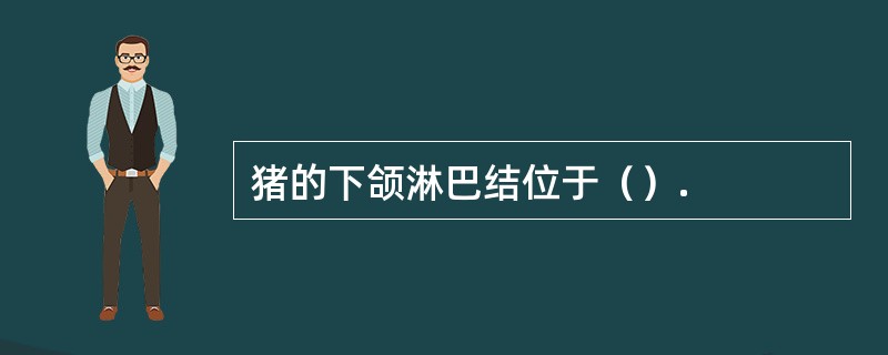 猪的下颌淋巴结位于（）.