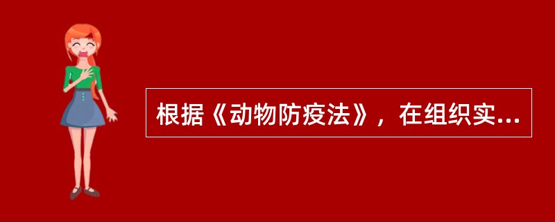 根据《动物防疫法》，在组织实施动物疫病强制免疫计划过程中，国家出台了哪些强制性措