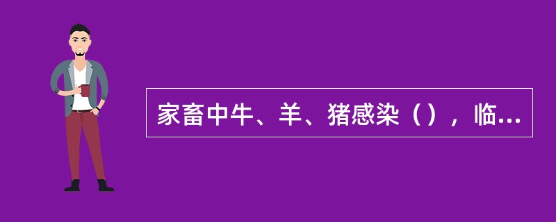 家畜中牛、羊、猪感染（），临床特征是生殖系统受到严重侵害，表现为雌性流产和不孕，