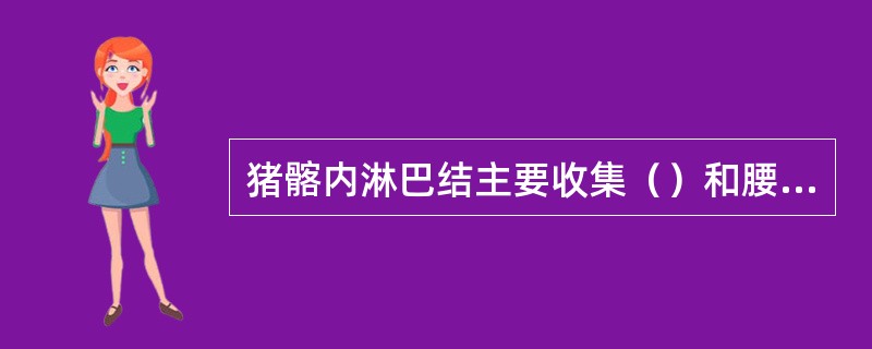 猪髂内淋巴结主要收集（）和腰部骨髂、肌肉和皮肤的淋巴结。