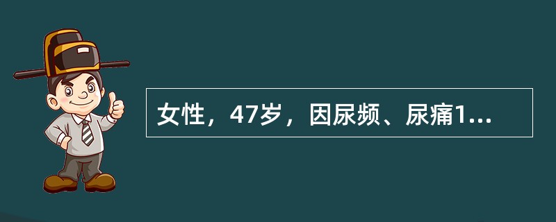 女性，47岁，因尿频、尿痛1周入院，尿常规蛋白(-)，白细胞++／HP，红细胞3