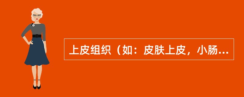 上皮组织（如：皮肤上皮，小肠腺上皮，消化道上皮）由上皮细胞构成，具有（）等功能。