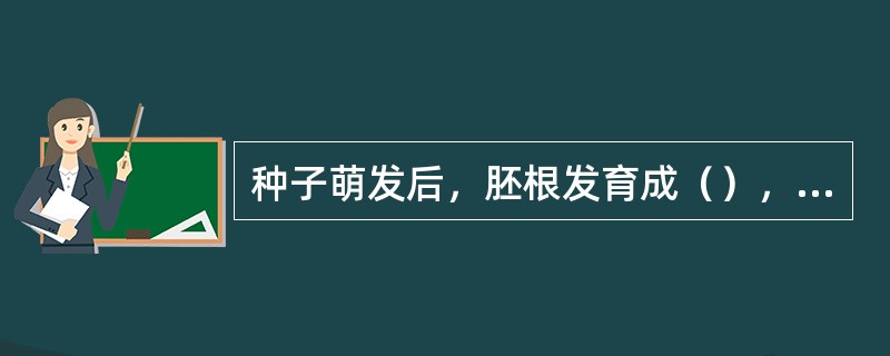 种子萌发后，胚根发育成（），胚轴伸长，连接茎与根，胚芽发育成茎和叶。种皮和子叶脱