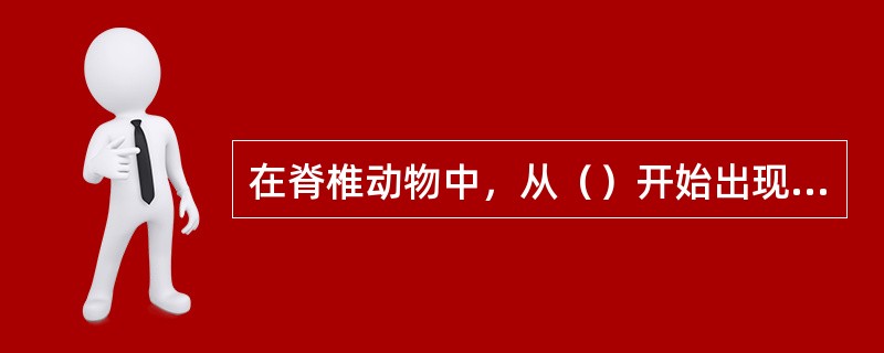 在脊椎动物中，从（）开始出现了胸廓。