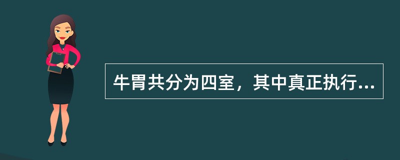 牛胃共分为四室，其中真正执行胃的消化功能的是（）。