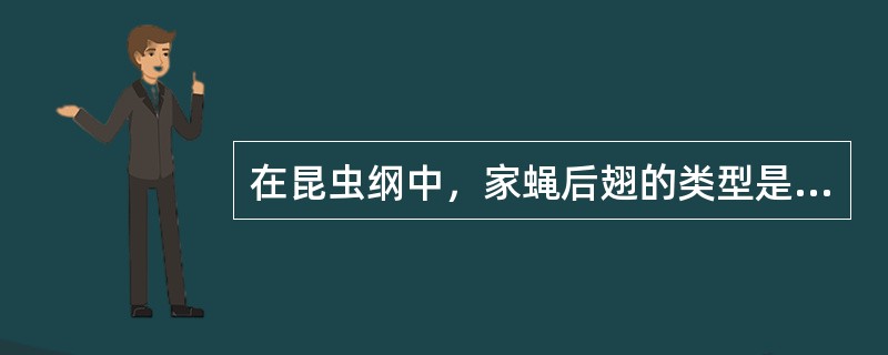 在昆虫纲中，家蝇后翅的类型是（）。