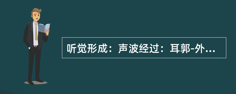 听觉形成：声波经过：耳郭-外耳道-鼓膜-听小骨-耳蜗-耳蜗中的听觉细胞-听觉神经