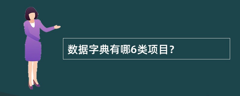 数据字典有哪6类项目？