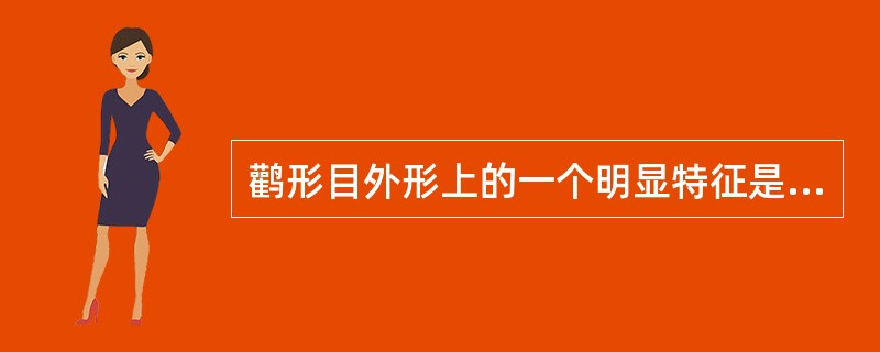 鹳形目外形上的一个明显特征是（）。