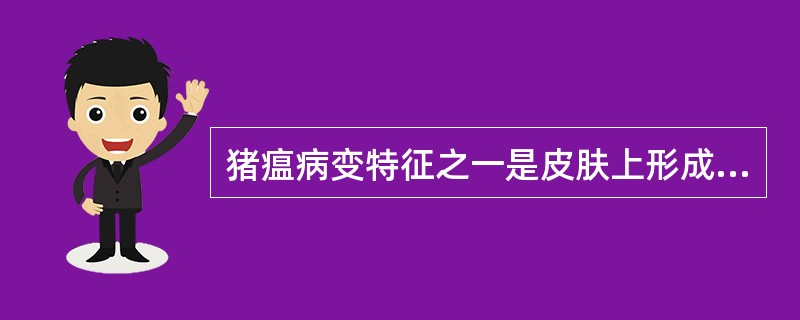 猪瘟病变特征之一是皮肤上形成（）。