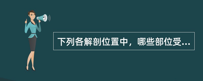 下列各解剖位置中，哪些部位受刺激后可产生尿路刺激征（）