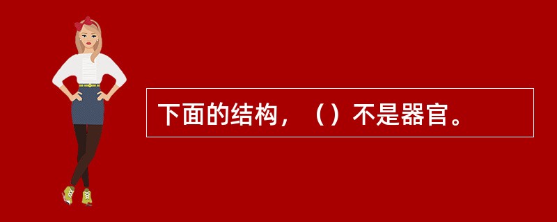 下面的结构，（）不是器官。