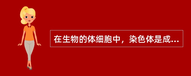 在生物的体细胞中，染色体是成对存在的。如人的体细胞中染色体为（）对。基因也是成对