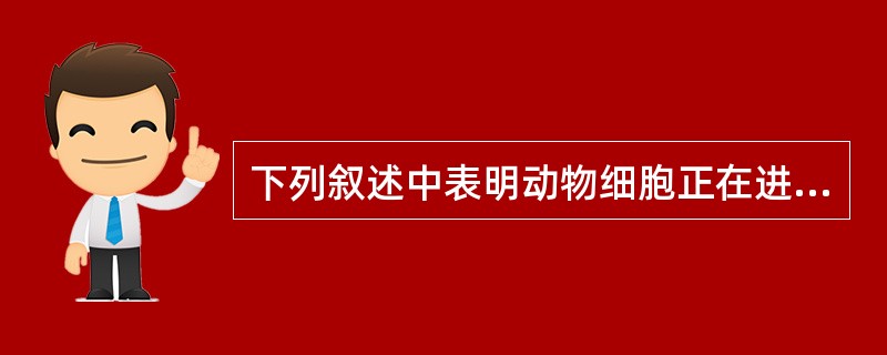 下列叙述中表明动物细胞正在进行有丝分裂的是（）。