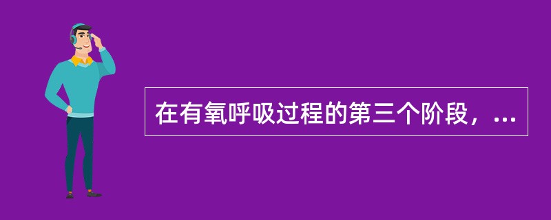 在有氧呼吸过程的第三个阶段，[H]与O2结合生成水，在无氧呼吸过程中，则没有此过
