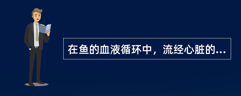 在鱼的血液循环中，流经心脏的血是（）。