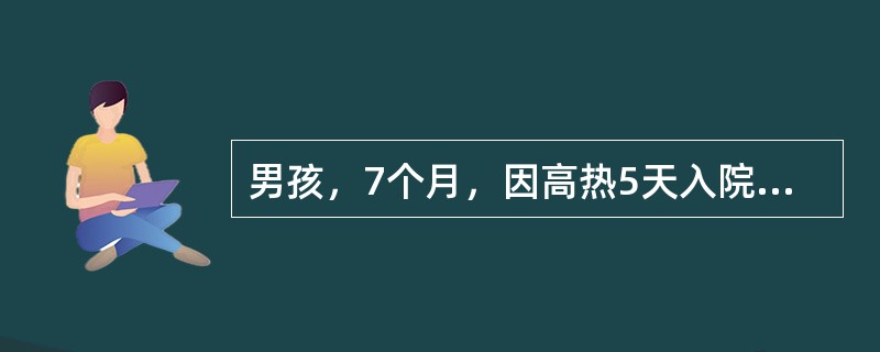 男孩，7个月，因高热5天入院，查体：发育正常浅表淋巴结不大，结膜充血，咽红，唇较