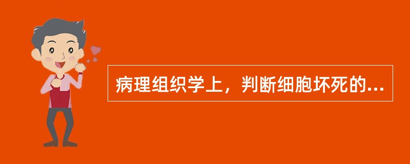 病理组织学上，判断细胞坏死的重要依据是（）的变化。