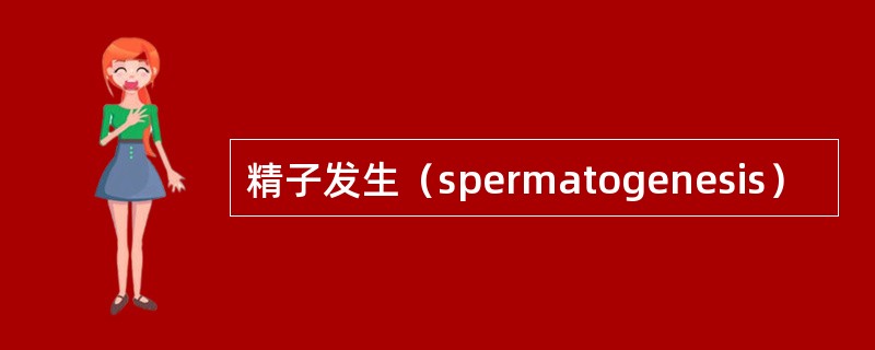 精子发生（spermatogenesis）