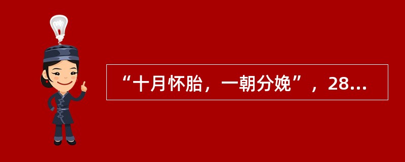 “十月怀胎，一朝分娩”，280天左右，一个新生命诞生了，在从受精卵到胎儿呱呱坠地