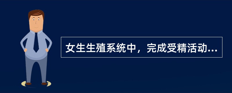 女生生殖系统中，完成受精活动并且受精卵不断分裂形成胚泡的器官是（）