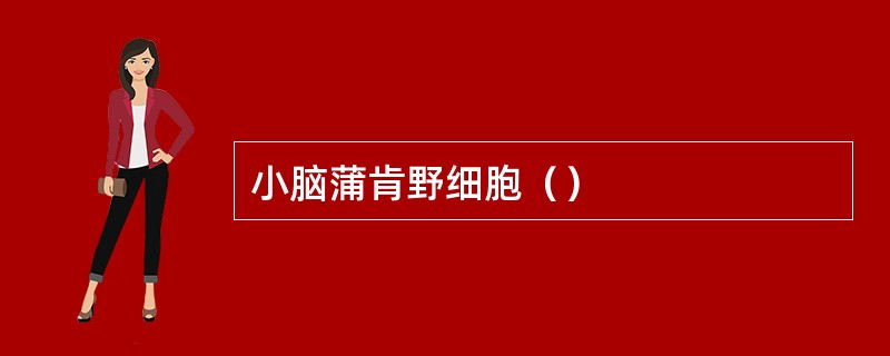 小脑蒲肯野细胞（）