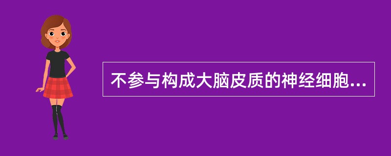 不参与构成大脑皮质的神经细胞是（）.