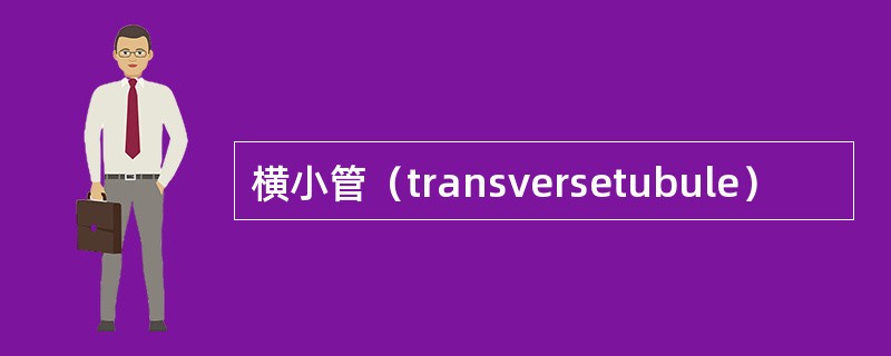 横小管（transversetubule）