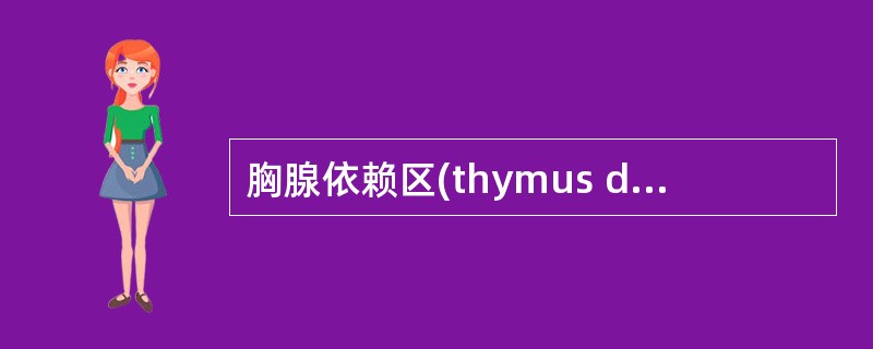 胸腺依赖区(thymus dependent area)