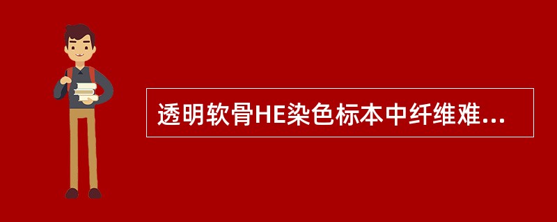 透明软骨HE染色标本中纤维难以分辨的原因是（）.