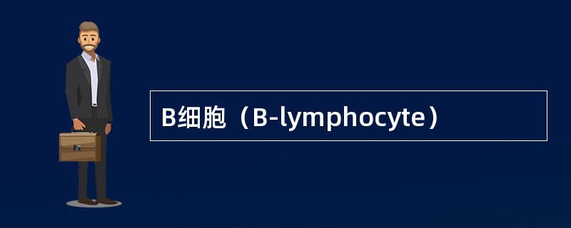 B细胞（B-lymphocyte）