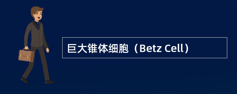 巨大锥体细胞（Betz Cell）