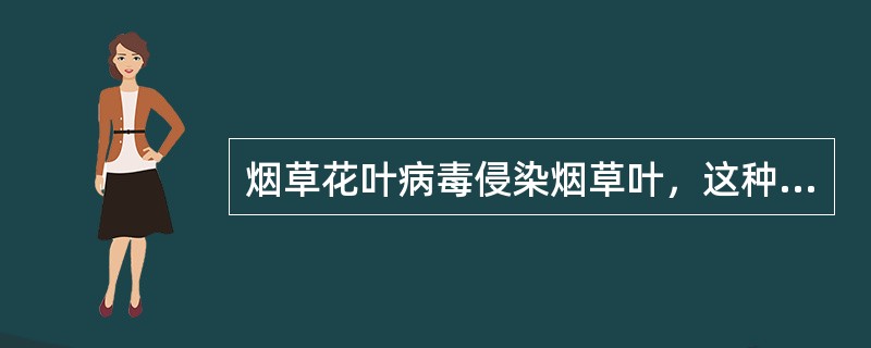 烟草花叶病毒侵染烟草叶，这种现象称为（）