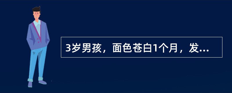 3岁男孩，面色苍白1个月，发热量2周，皮肤瘀斑1周，查体：皮肤粘膜苍白，双下肢可