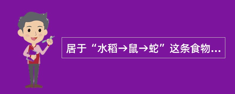 居于“水稻→鼠→蛇”这条食物链的叙述中，错误的是（）