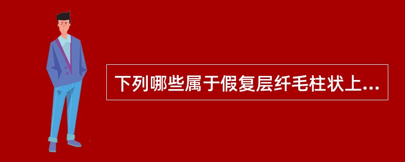 下列哪些属于假复层纤毛柱状上皮的形态特点（）.