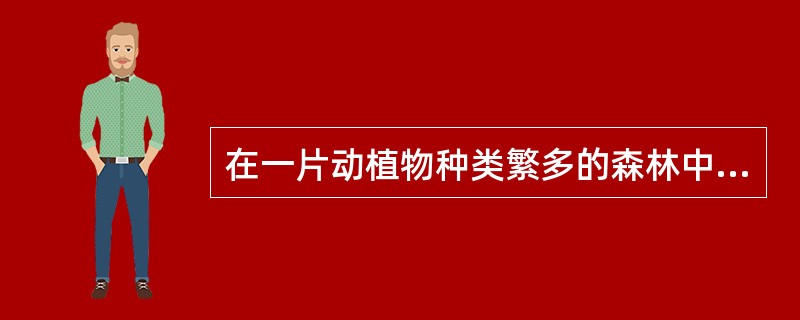 在一片动植物种类繁多的森林中，消费者、分解者种类和数目基本稳定，那么下列哪项与之