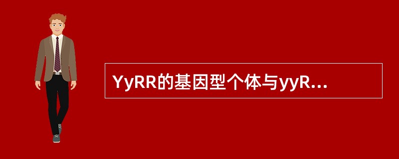 YyRR的基因型个体与yyRr的基因型个体相交（两对等位基因分别位于两对同原染色
