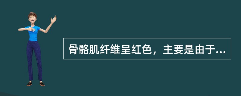 骨骼肌纤维呈红色，主要是由于肌浆中含有（）.