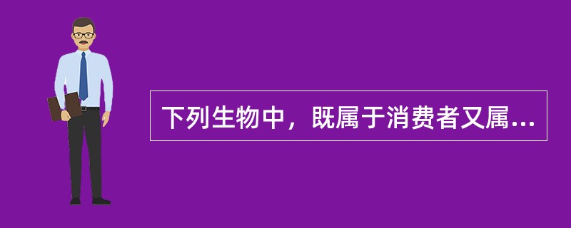 下列生物中，既属于消费者又属于分解者的是（）