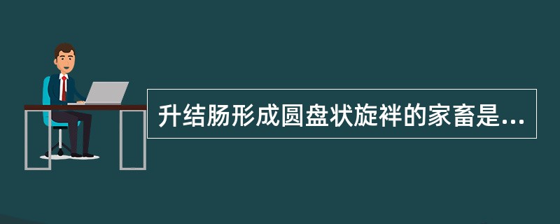 升结肠形成圆盘状旋袢的家畜是（）.