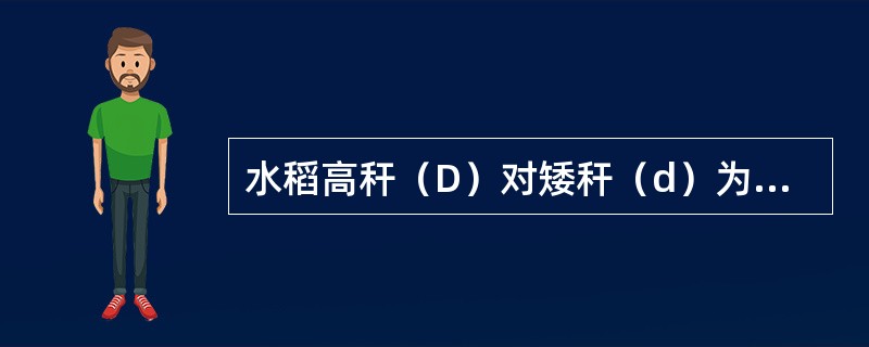 水稻高秆（D）对矮秆（d）为显性，抗稻瘟病（R）对易感稻瘟病（r）为显性，两对性