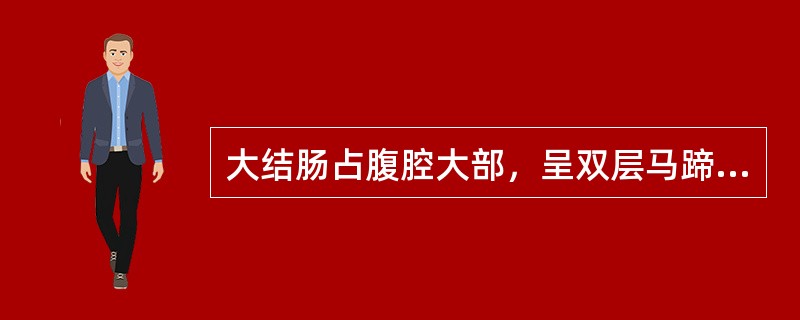 大结肠占腹腔大部，呈双层马蹄铁形排列，可分为四段三曲。这是哪种家畜的大肠（）.