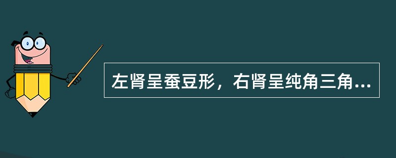 左肾呈蚕豆形，右肾呈纯角三角形见于（）.