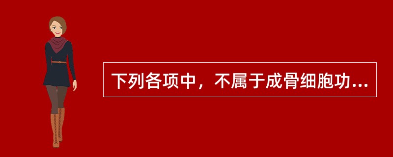 下列各项中，不属于成骨细胞功能的一项是（）。