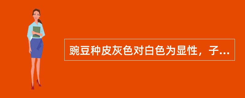 豌豆种皮灰色对白色为显性，子叶黄色对绿色为显性。豌豆甲自交后代全部为灰种皮黄子叶