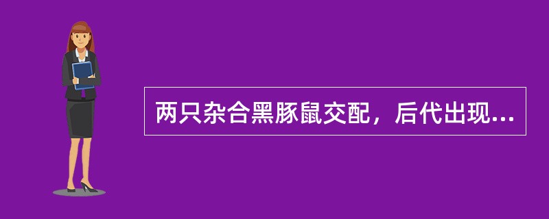 两只杂合黑豚鼠交配，后代出现白豚鼠的原因最可能是什么？若杂合黑豚鼠一胎生出4只豚