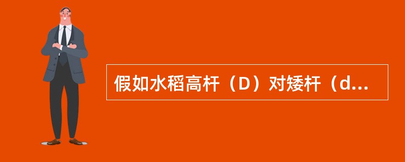 假如水稻高杆（D）对矮杆（d）为显性，抗稻瘟病（R）对易感稻瘟病（r）为显性，两